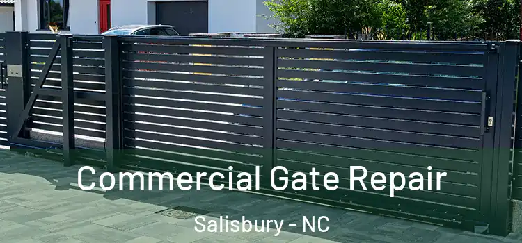  Commercial Gate Repair Salisbury - NC
