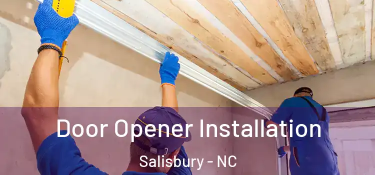 Door Opener Installation Salisbury - NC