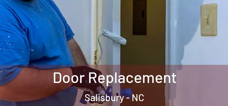  Door Replacement Salisbury - NC