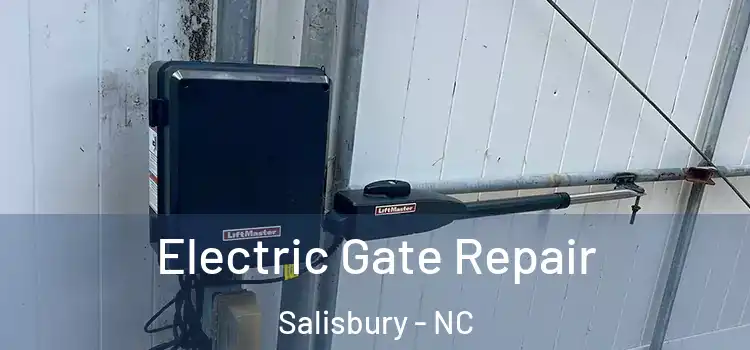 Electric Gate Repair Salisbury - NC