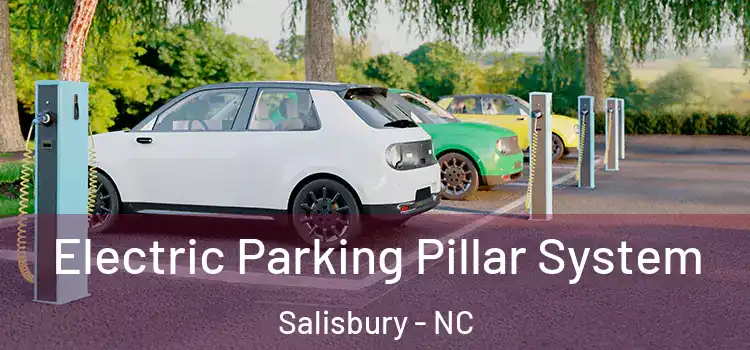  Electric Parking Pillar System Salisbury - NC