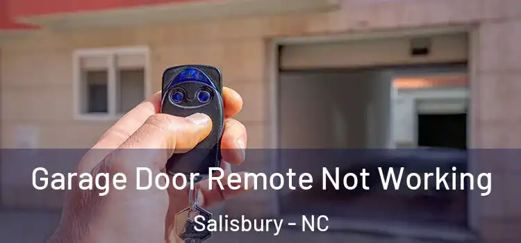  Garage Door Remote Not Working Salisbury - NC