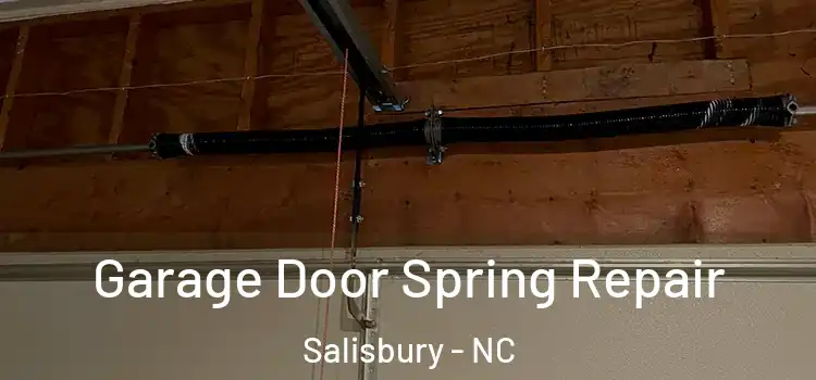  Garage Door Spring Repair Salisbury - NC