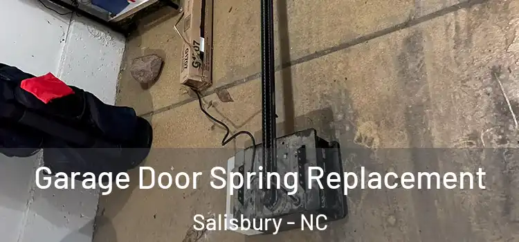  Garage Door Spring Replacement Salisbury - NC