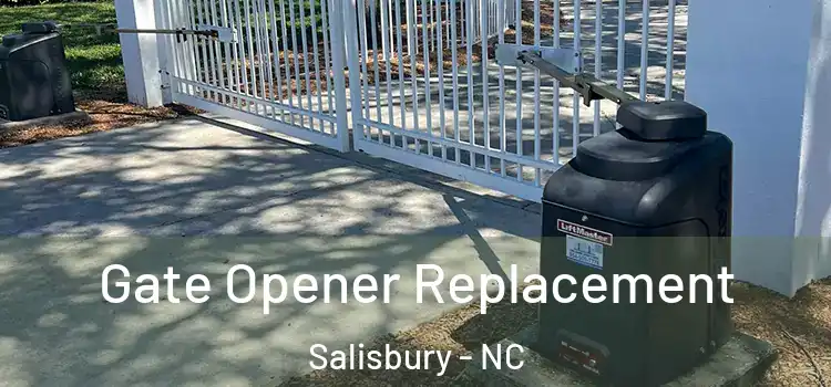  Gate Opener Replacement Salisbury - NC