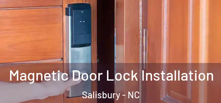  Magnetic Door Lock Installation Salisbury - NC