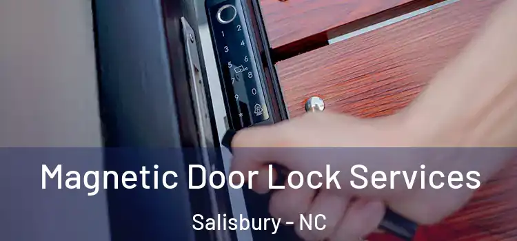  Magnetic Door Lock Services Salisbury - NC