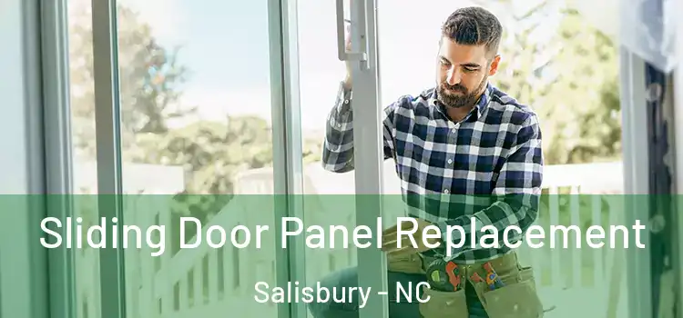  Sliding Door Panel Replacement Salisbury - NC