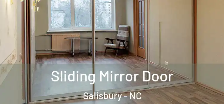  Sliding Mirror Door Salisbury - NC